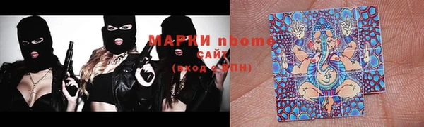 крисы Бронницы