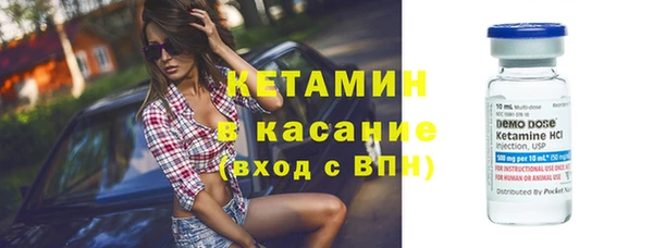 крисы Верея