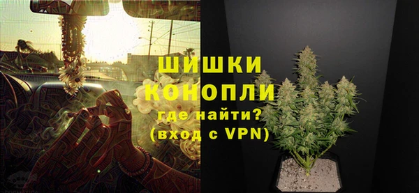 крисы Верея