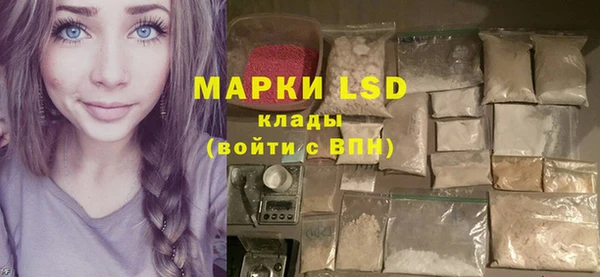 крисы Верея